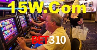 Premium Interface bet310